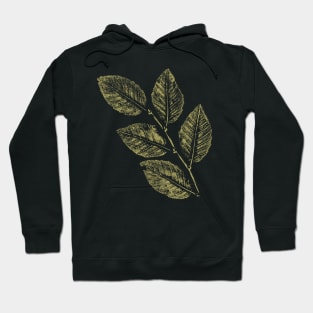 Beech Leaves Branch Hoodie